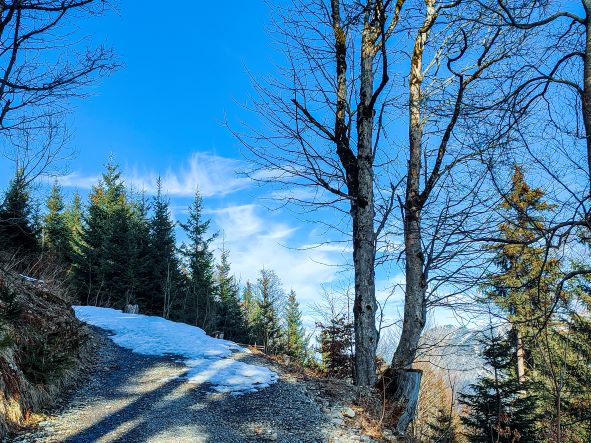 Winterwandern Söllereck ein Stück Weg 