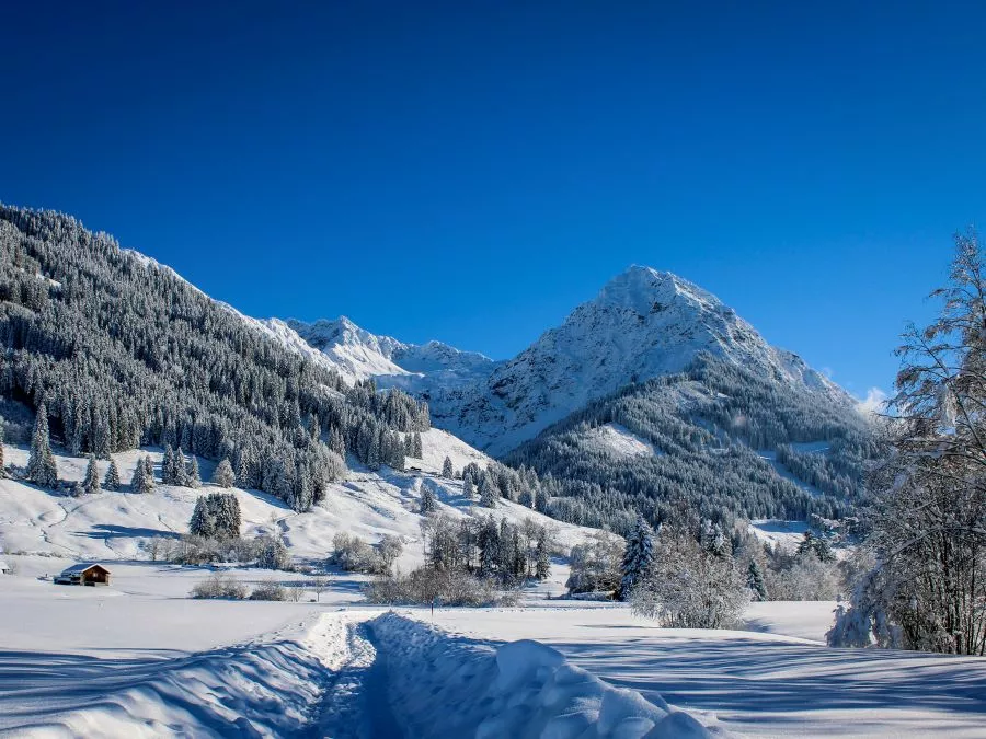 Auf der Alpe Auf der Alpe