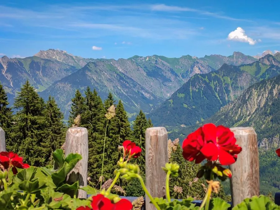 Auf der Alpe Auf der Alpe