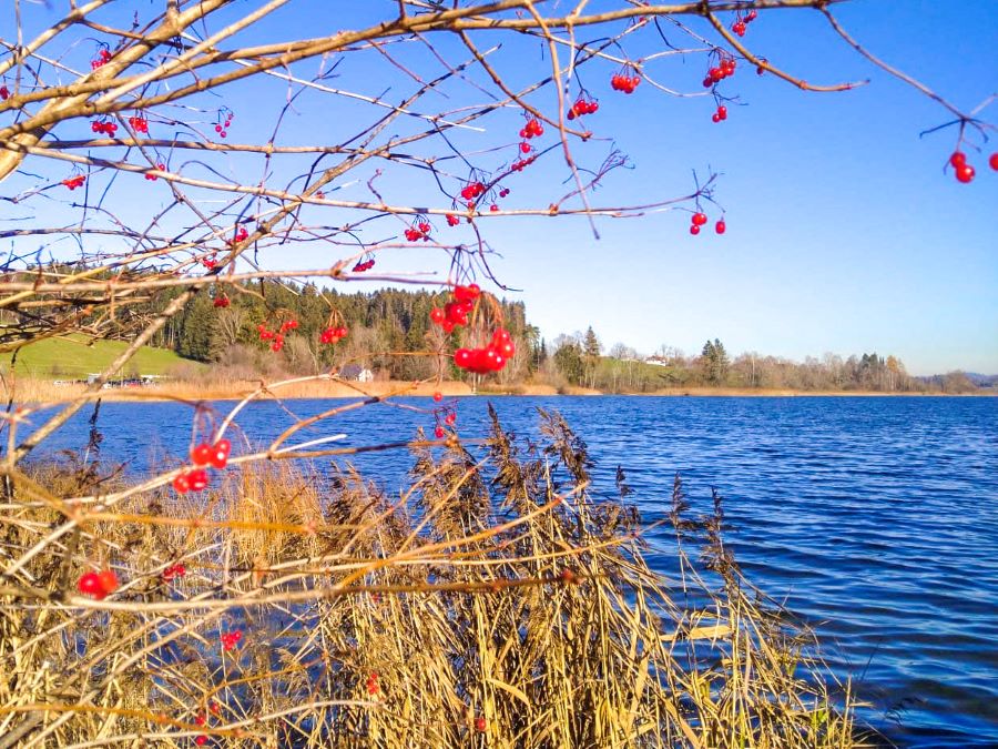 Herbsstimmung Herbsstimmung